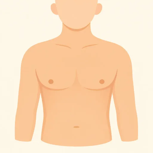 Illustration: Chest