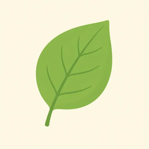 Ilustración: Hoja