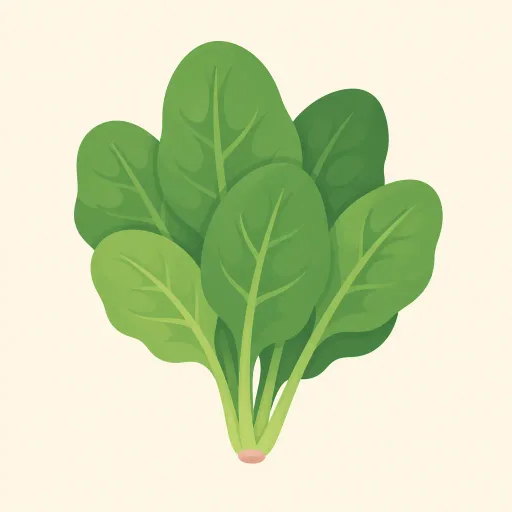 Illustration: Spinach