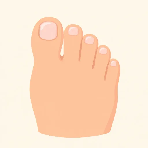 Illustration: Toe
